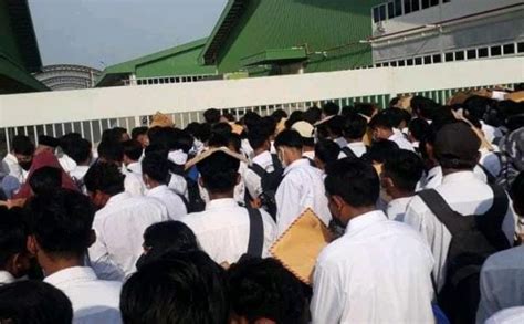 ssmjx|Iba pa.